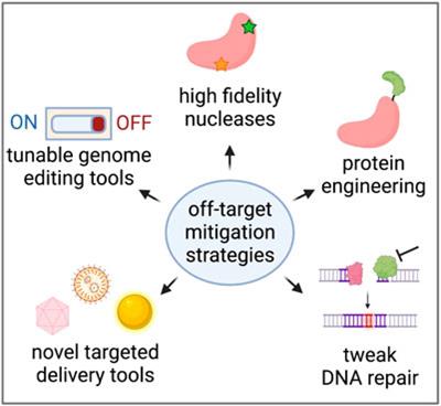 CRISPR nuclease off-target activity and mitigation strategies